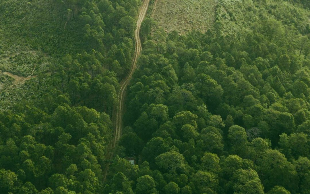 Eagle Alpha Spotlight – Environmental Data