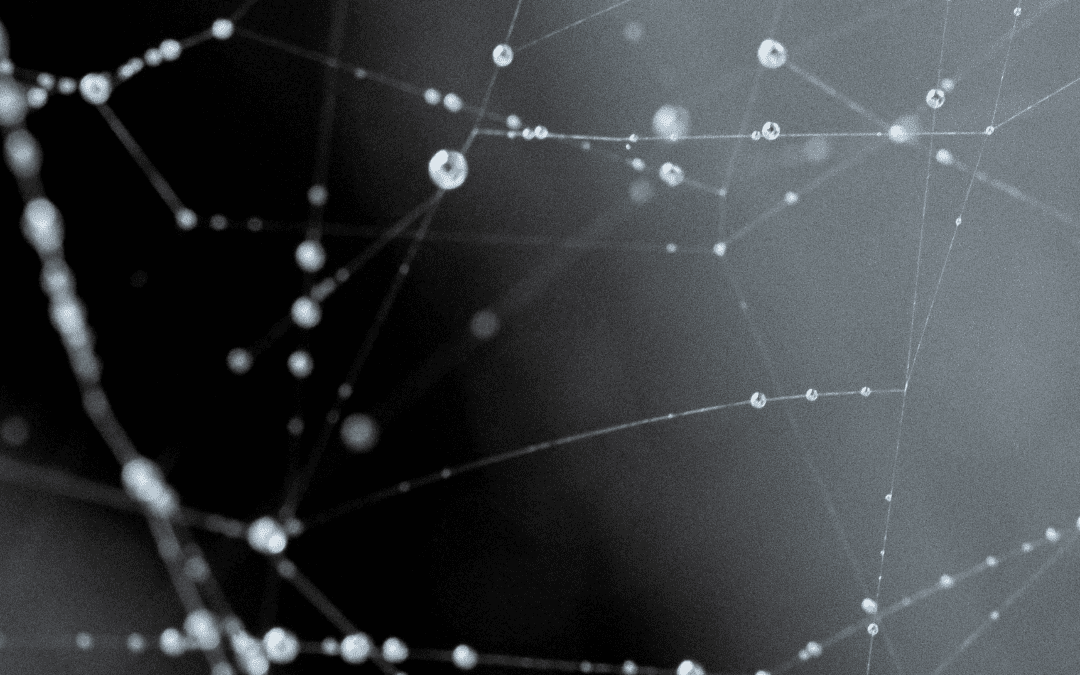 Eagle Alpha Spotlight – Web Crawling for Data-Driven Decision-Makers